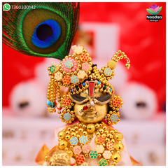 Meenakari Pachrangi Alkavali - Silver