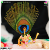 Holi Special Soneri Pachrangi Paag Sang Chandrika With Shishfool