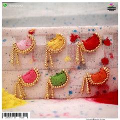Cheent Paag With precious Loom (6pc) - nandanshringar
