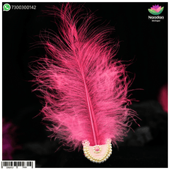 Paag Sang Surkhab Pink