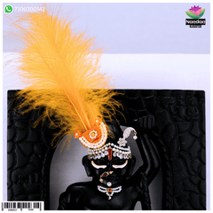 Paag Sang Surkhab Orange