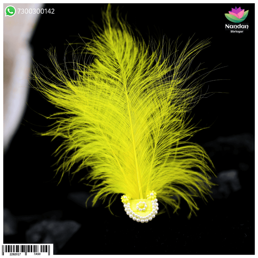 Paag Sang Surkhab Yellow