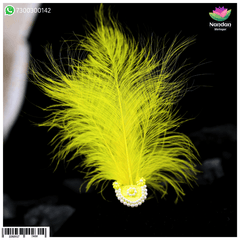 Paag Sang Surkhab Yellow