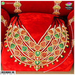 Gaadi Shringar – Janmashtmi Special