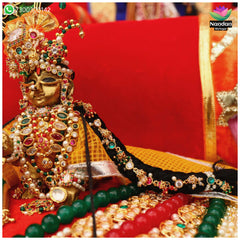 Janmashtami Special Milma Choti Ji