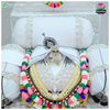 Sharad Special Ruperi Gaadi Shringar