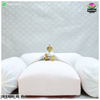 Sharad Maha Mahotsav Vastra - Design 2