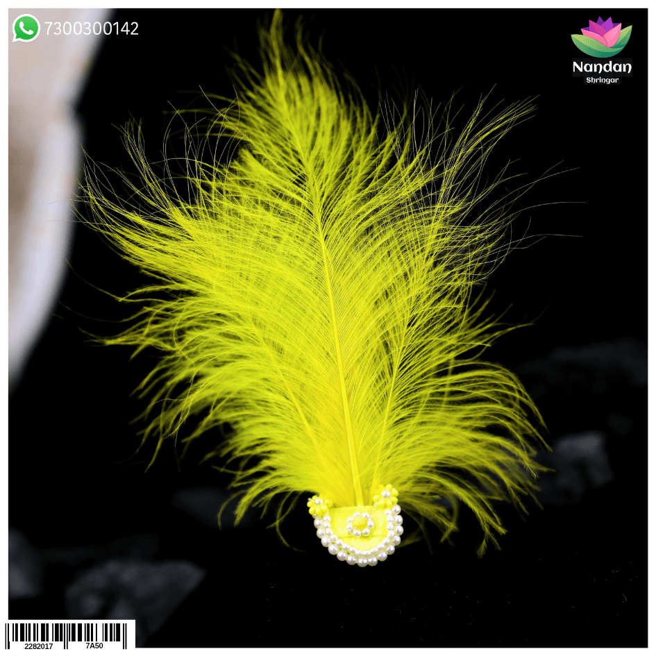 Paag Sang Surkhab Yellow