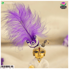 Paag Sang Surkhab purple