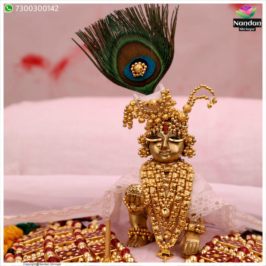 Holi Shringar Premium - Silver