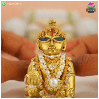 laddu gopal Chandan Moti Jadaau Haar 
